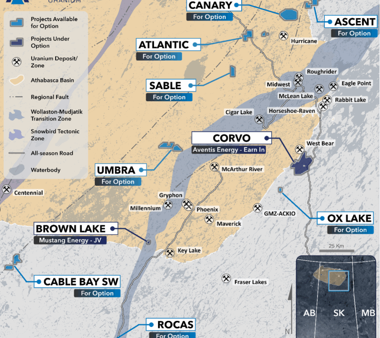 Standard Uranium Provides Exploration Update on Successful Project Generation and New JV Opportunities