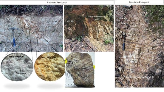 Quimbaya Identifies Mineralized High-Sulfidation Porphyry System at Surface at Tahami