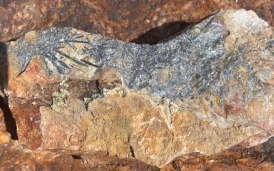 Arizona Gold & Silver Sampling Returns Up To 7.95% Antimony from The Silverton Antimony-Gold Project, Nevada