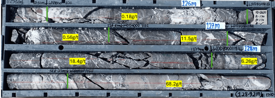 5.9 meters @ 14.4 g/t AuEq Intercepted at Great Pacific Gold’s Wild Dog