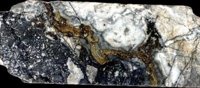 0.8m @ 127 g/t AuEq in Surface Sampling and 5.0m @ 4.9 g/t AuEq in Drilling at Great Pacific Gold’s Wild Dog Project