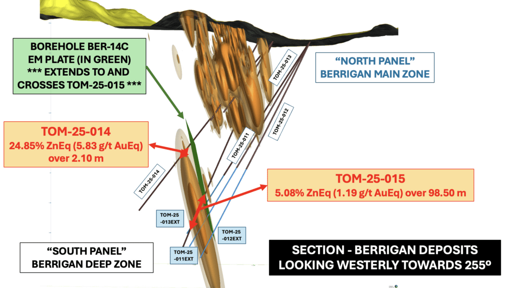 Longitudinal view of the Phase 2 extension drilling program at Berrigan Mine: 3D longitudinal section showing drill holes TOM-25-009 to TOM-25-013