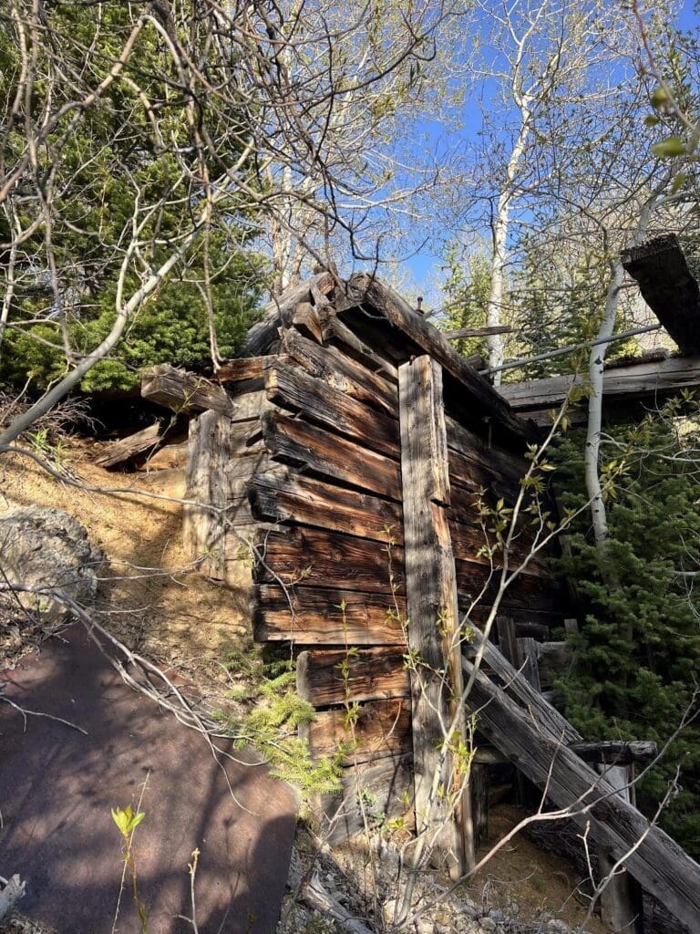 Figure 2: Wooden foundation of a suspect ore chute indicating this area is possibly the historical Rowland processing facility. Suspect shafts are located upslope of this structure