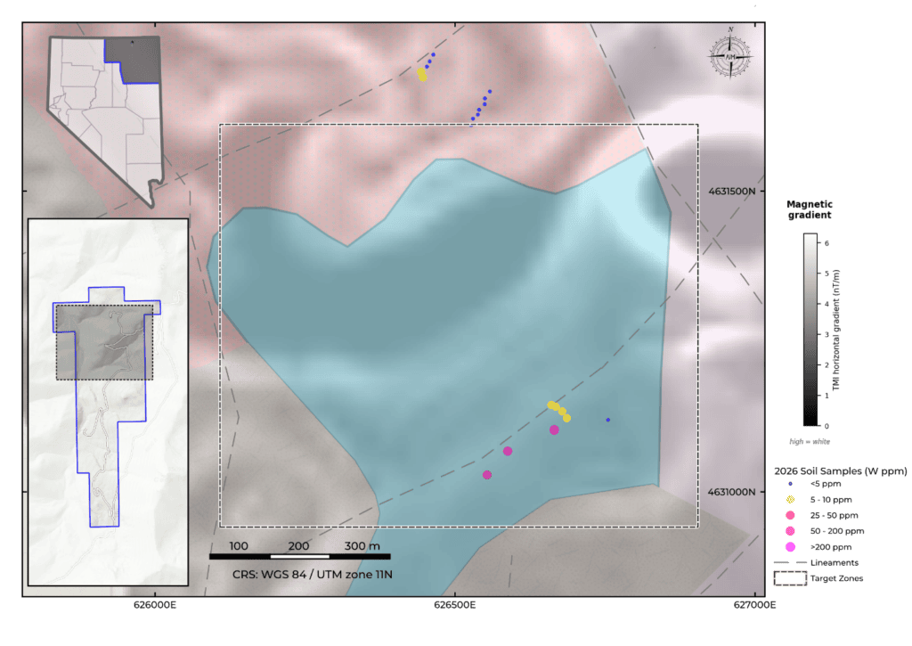 Figure 3: Central zone with anomalous soils appearing related to NE-SW interpreted fault within carbonate unit. Magnetic gradient is the greyscale image below, where potential contacts are shown as high gradients (whiter colours).