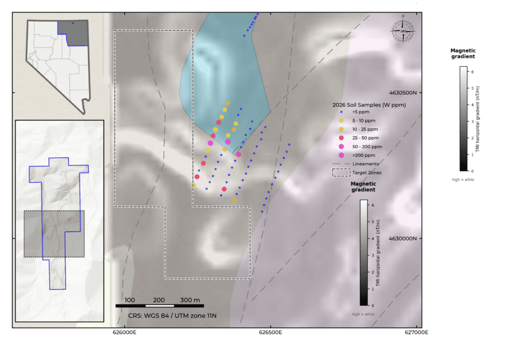 Figure 2: Rowland Main zone with anomalous soils approximately mapping out the carbonate (blue) contact. Magnetic gradient is the greyscale image below, where potential contacts are shown as high gradients (whiter colours).