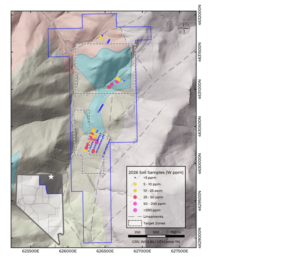 Figure 1: Tungsten-in-soil (ppm) results and key target areas for Phase 2. Blue polygon shows the Carbonate unit (OCtd) interpreted to be a key unit associated with tungsten mineralisation