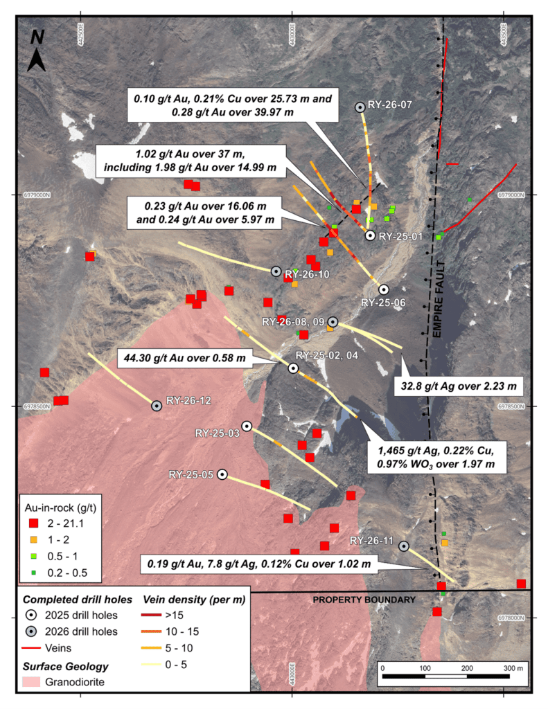 Rye Project 2025 and 2026 drill holes plotted thematically with vein density, along with gold-in-rock values and selected drill intercepts
